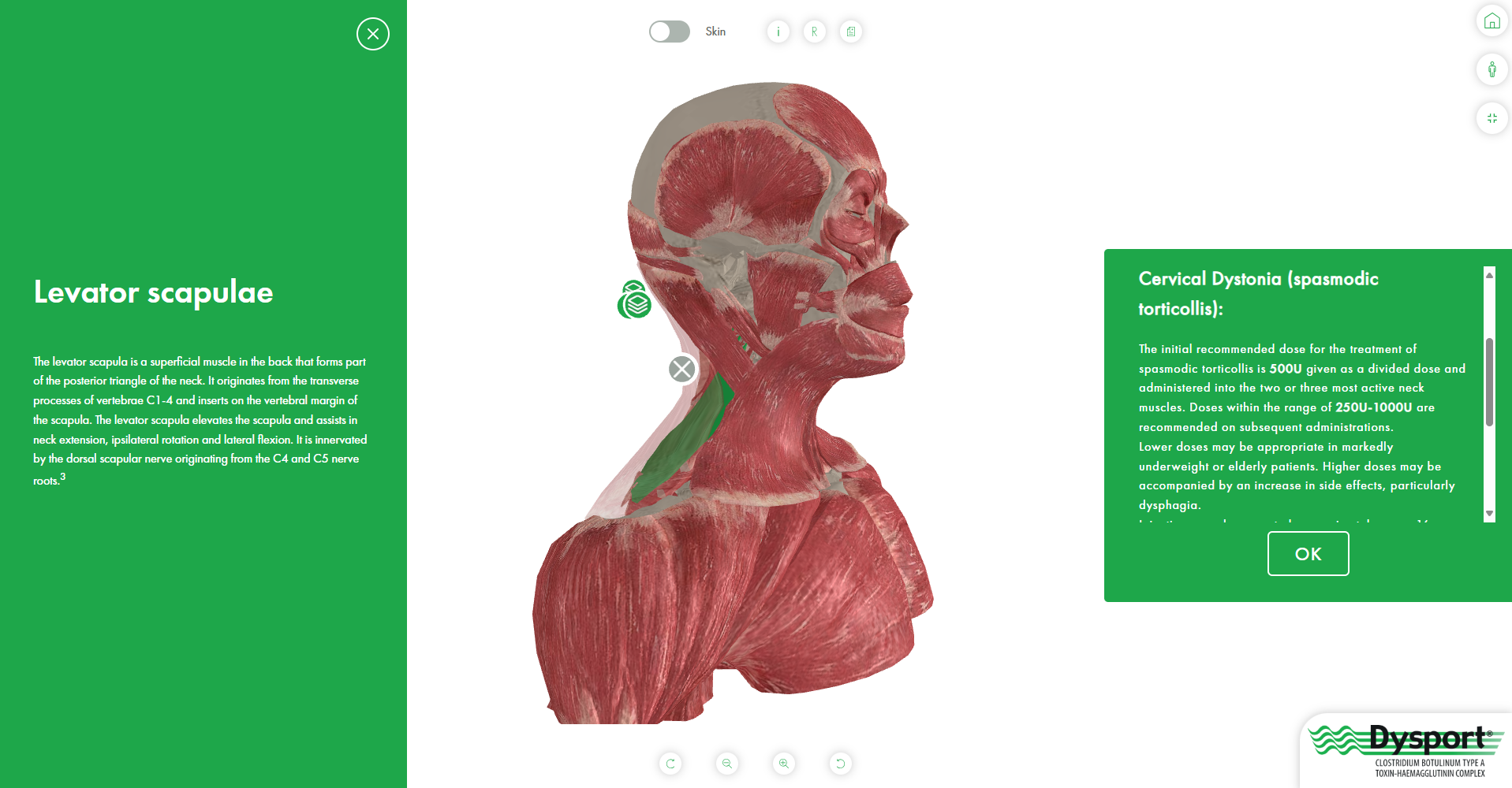 Muscle Maps