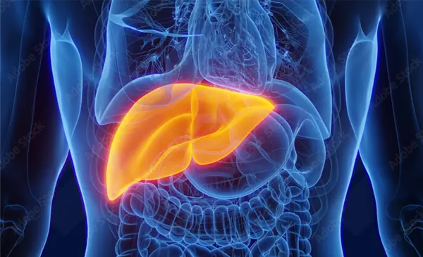 Explore more Progressive Familial Intrahepatic Cholestasis (PFIC) Patient Support